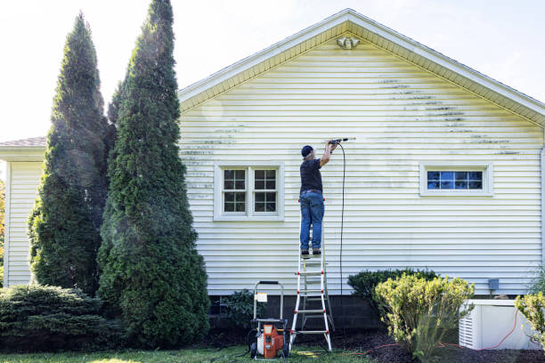 Best Sidewalk and Walkway Cleaning  in Palmhurst, TX